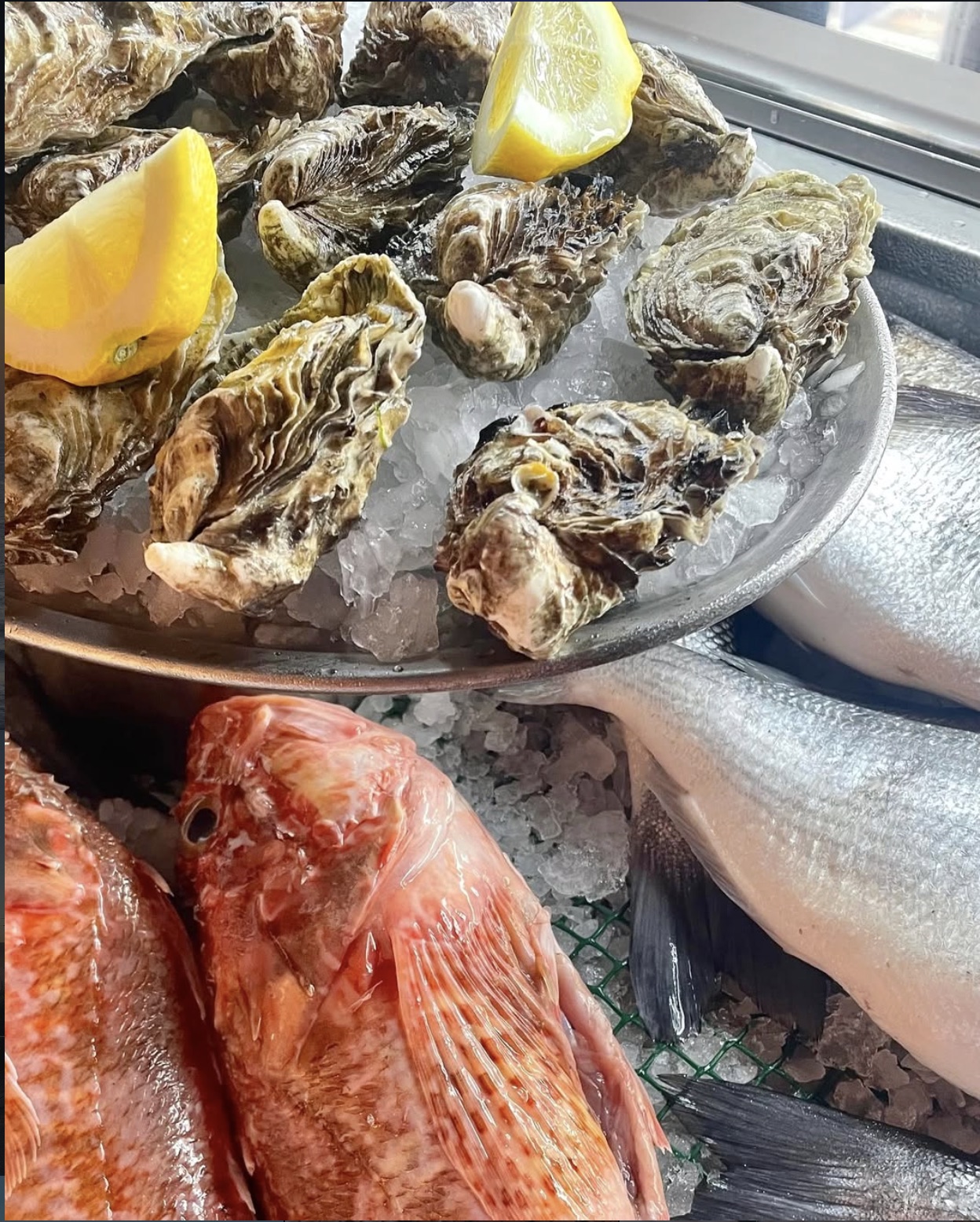 Ostras e peixe fresco na montra do Crôa